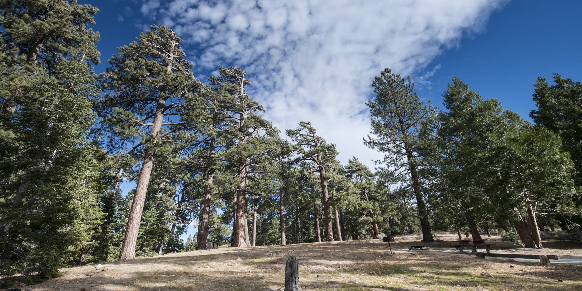 Table Mountain (Angeles) Campground All You Need to Know
